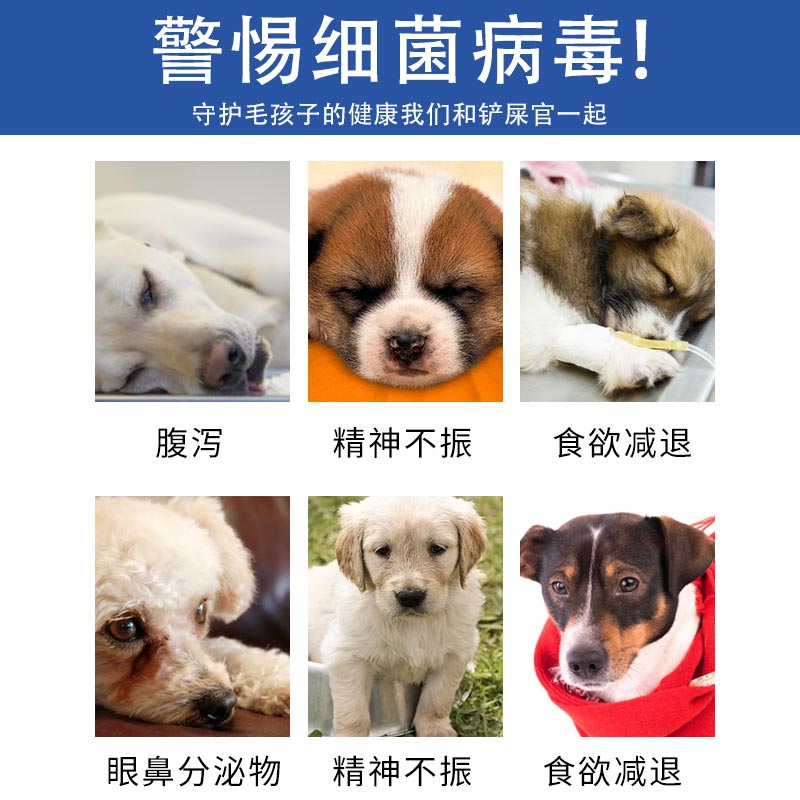 犬瘟细小冠状试纸细小犬瘟试纸宠物细小犬瘟测试纸CDV CPV检测卡 - 图0