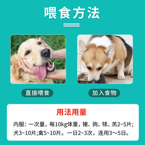 狗狗土霉素片宠物猫咪狗狗拉稀腹泻止泻兽用药便血胃肠消炎拉肚子 - 图0