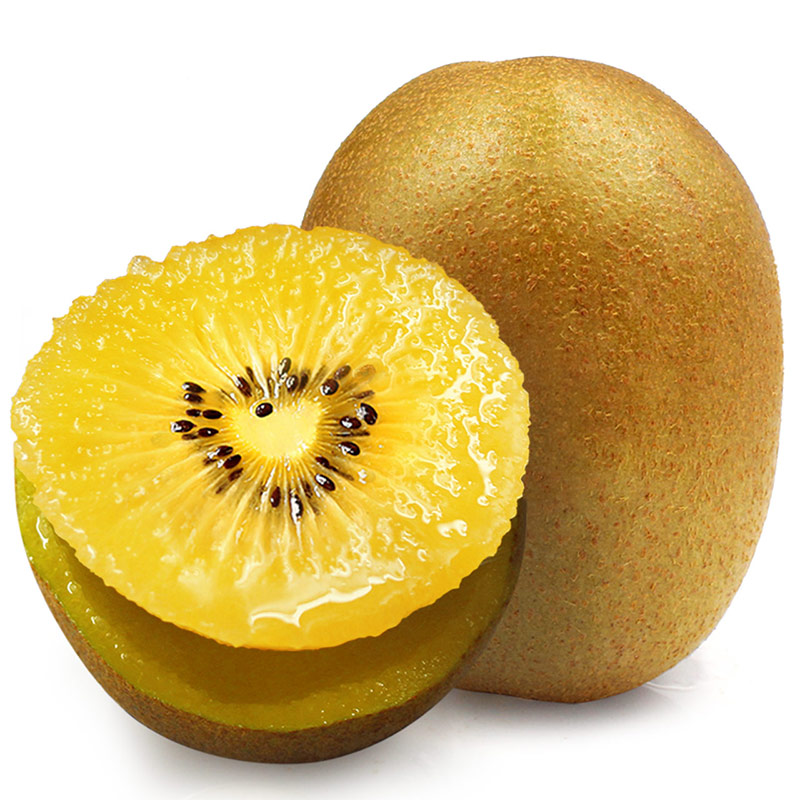  果乡趣奇异果/猕猴桃