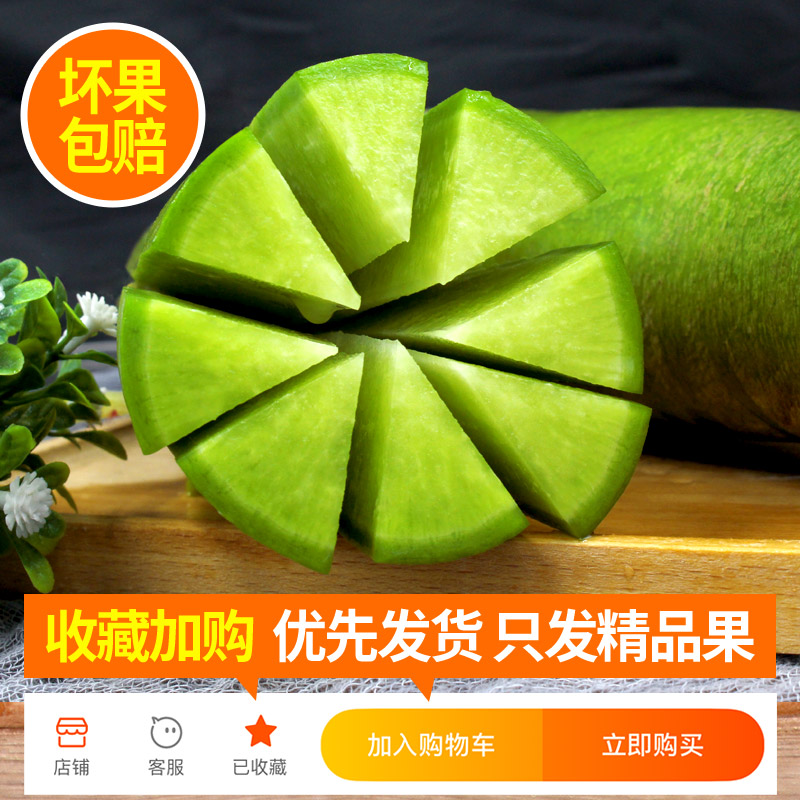 潍坊萝卜水果萝卜甜脆水果型潍县青萝卜5斤新鲜天津生吃正宗
