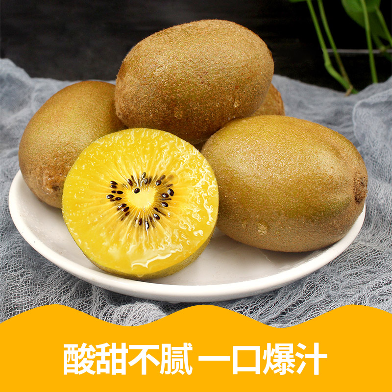  果乡趣奇异果/猕猴桃