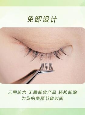 【达人同款】新款透明梗免胶水森系精灵睫单簇分段式自粘假睫毛XH