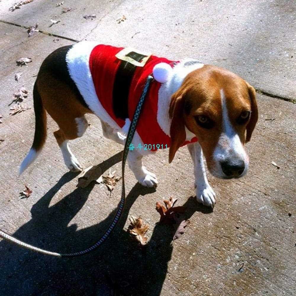 Christmas Clothes For Dogs For Small Dogs Puppy Pet Clothes - 图0