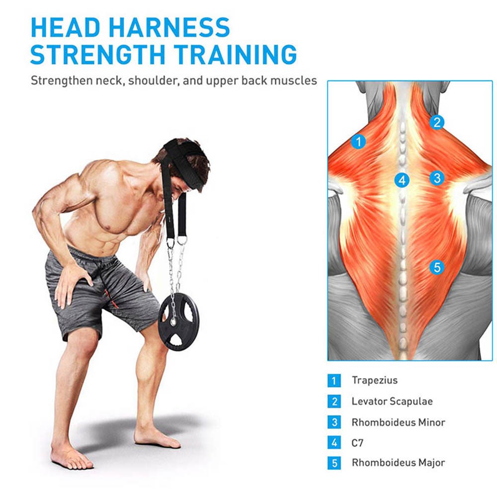 Head Neck Training Head Harness Body Strengh Exercise Strap - 图1