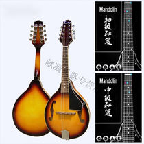 Han Bestu Intermediate M100 Alt 8 Strings Mandolin instrument Mantuo Suzuzhenge Full yellow M100 Luxury l