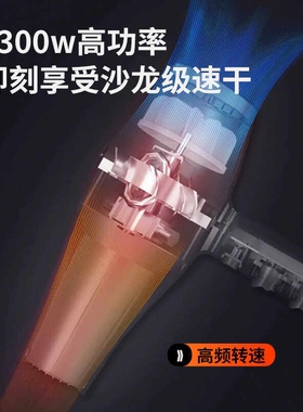 比特6900电吹风机家用B大功率负