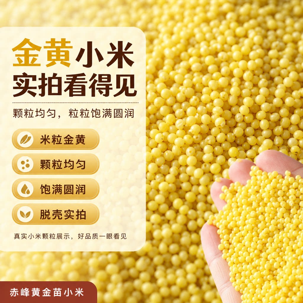 内蒙古赤峰黄金苗K1黄小米熬软糯粥杂粮2025新苗正宗农家婴儿食用