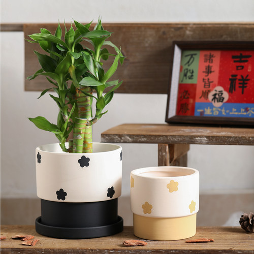 圆形彩绘波点花朵素烧陶瓷花盆透气陶土有孔带托盘种盆栽多肉小树 - 图3