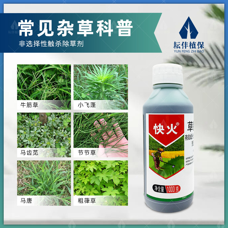 天邦快火20%草铵膦草安磷杀草剂果园非耕地杂草草胺磷正品除草剂-图0