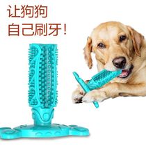 Pooch toothbrushes resistant to biting Toys toothbrushes Tooth Brushing and deodorant Pet Supplies Grinders Baton Fabulous Teddy Dedicators