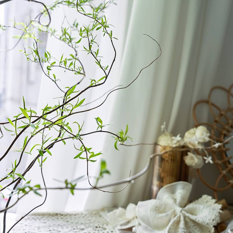 龙柳鲜枝插花客厅水培植物花卉室内鲜花四季好养活水养干枝支雪柳_虎窝淘