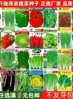蔬菜种子四季播盆栽庭院阳