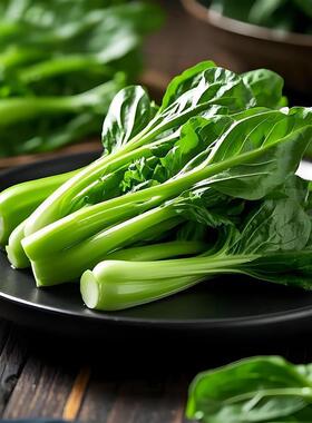 上海青种子小白菜菜种子矮