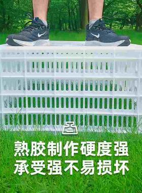 菜篮子框子白色塑料筐镂空周转筐装水果蔬菜筐子长方形加厚大号