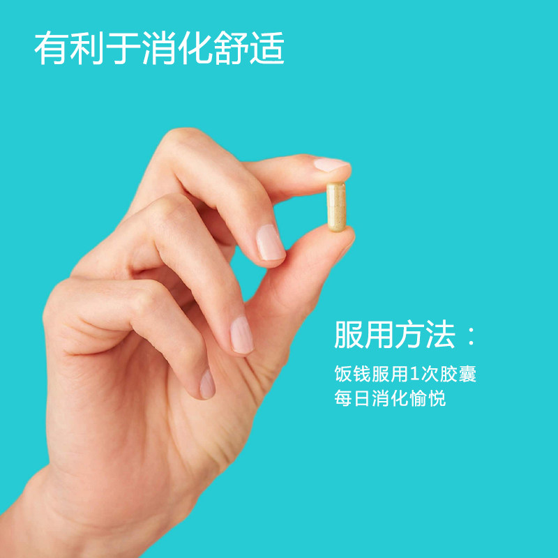 zenwise消化酶大人调理肠道益生菌 Zenwise海外益生菌
