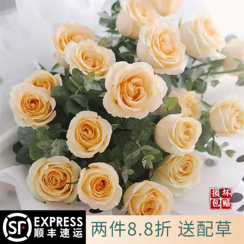 弗朗花-新人首单立减十元-2022年7月|淘宝海外 弗朗花-新人首单立减十元-2022年7月|淘宝海外