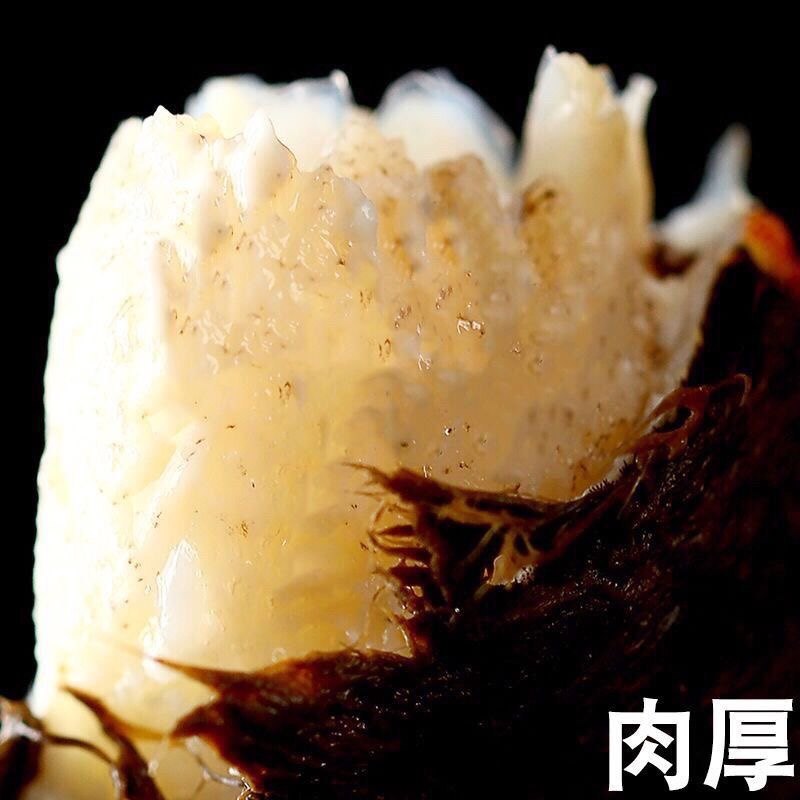 【10只装】鲜活大闸蟹特大活螃蟹公6.0两 母5.0两礼盒装顺丰包邮,淘宝优惠券,粉丝福利购,淘宝优惠卷