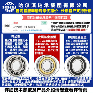 HRB哈尔滨轴承官方旗舰店 6200 6201 6202 6203 6204 - ZZ 2RZ