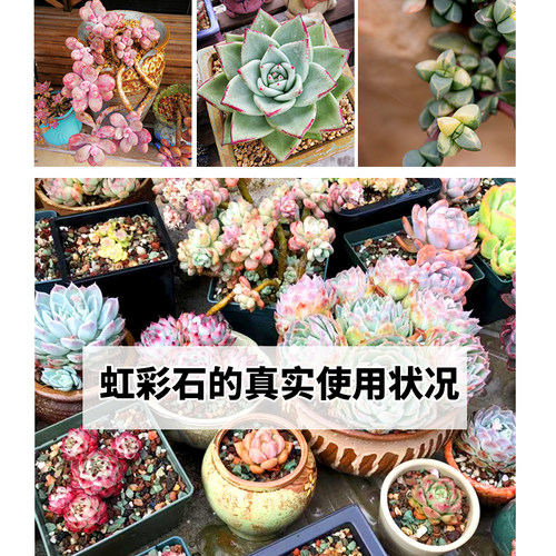 颗粒土铺面石多肉土壤有机营养土包邮种植土通用型花肥兰花专用土 - 图1