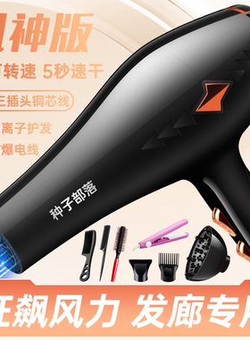 德国电吹风机家用大功率发廊专用