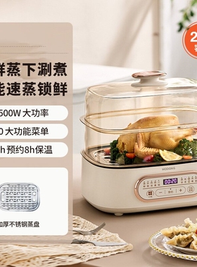 德国2025新款电蒸锅多功能家用三