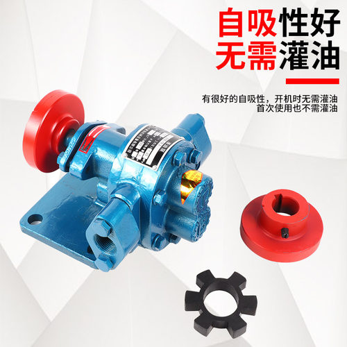 高温齿轮油泵头ZYB-小型机油齿轮泵头自吸式高压齿轮油泵豆渣油泵 - 图2