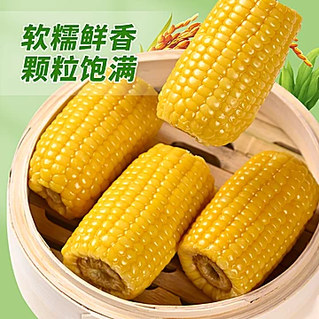 灶小美铝膜包装糯玉米段1200g礼盒[3元优惠券]-寻折猪