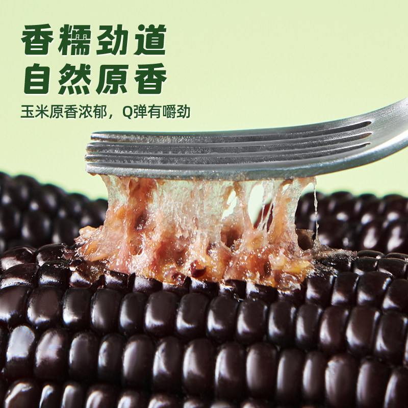 灶小美内蒙古黑糯玉米新鲜非东北即食粘黏苞米黑玉米代餐粗粮早餐
