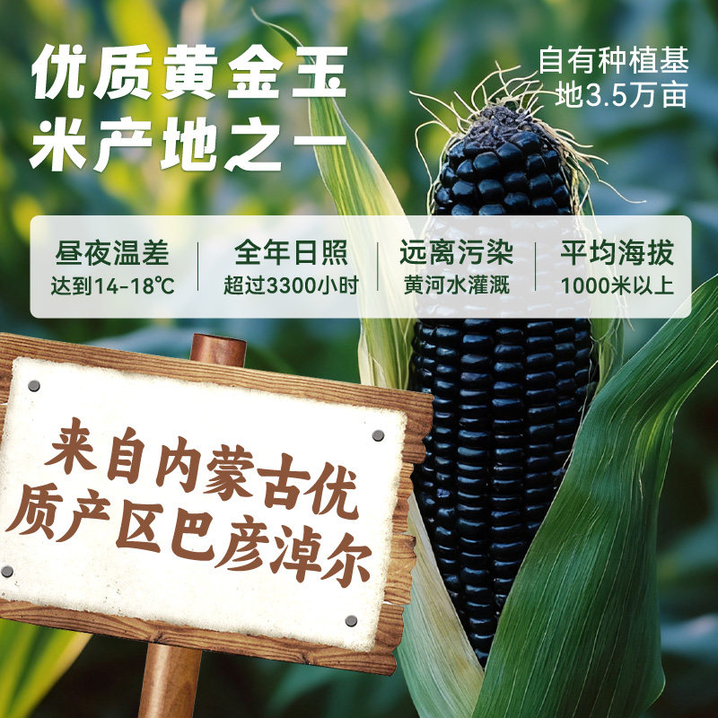 灶小美内蒙古黑糯玉米新鲜非东北即食粘黏苞米黑玉米代餐粗粮早餐