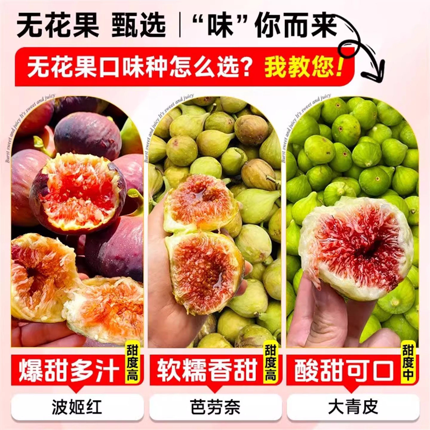 无花果树苗盆栽果树苗四季特大波姬红南北方阳台种植地栽当年结果,淘宝优惠券,粉丝福利购,淘宝优惠卷