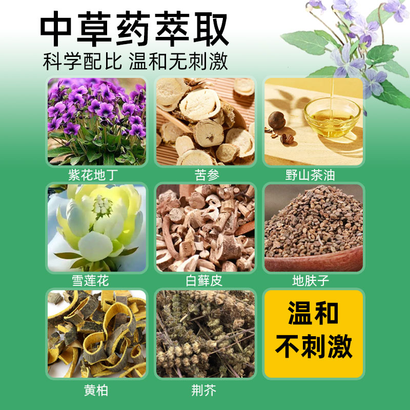 百毒王止痒膏身上痒紫花地丁外用草本乳膏顽固性瘙痒止痒 - 图0