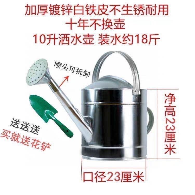加厚洒水壶不锈钢铁皮家用浇菜浇花水壶淋花喷壶大容量大号洒水桶 - 图2