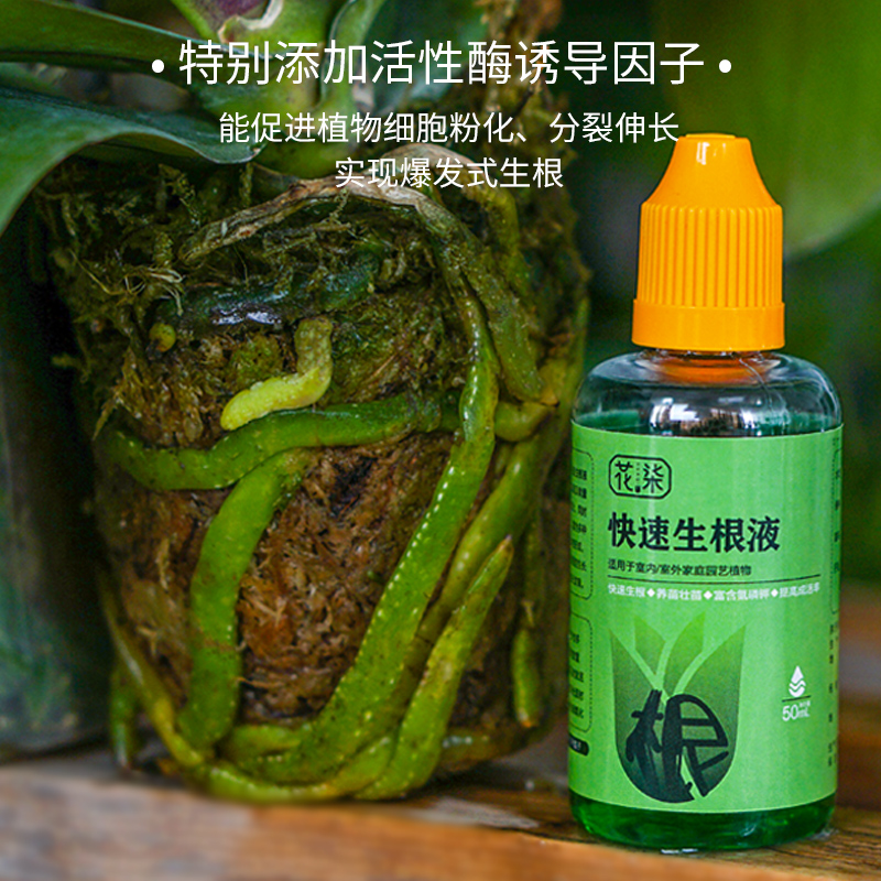 快速生根液植物通用扦插壮苗剂强力生根粉多肉扦插花卉移栽营养液 - 图1