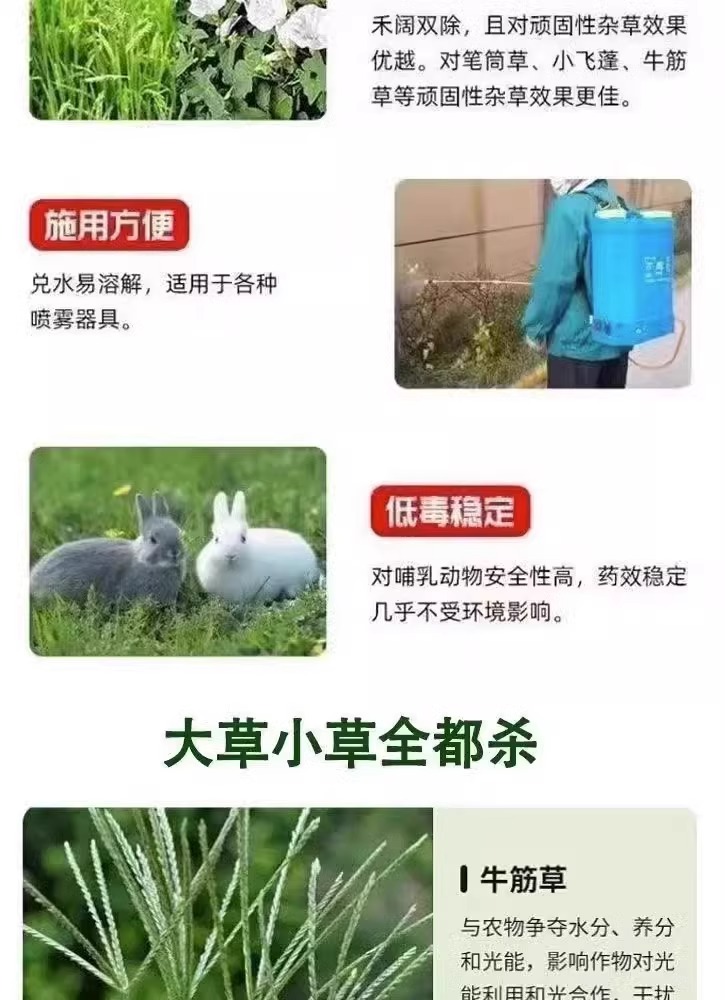 白菜萝卜苗后除草封闭烂根剂不伤苗菜地强力除杂草一扫光专用剂-图0