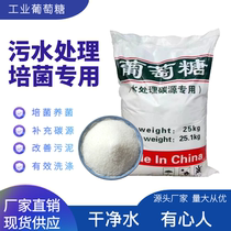 Industrial grade glucose efficient replenishing carbon source culture strain special sewage treatment agent bacteria nourishing bacteria