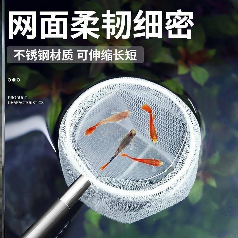 鱼缸捞网3d立体小鱼捞水族箱不锈钢可伸缩鱼虾抄网渔捞圆形鱼网兜 - 图1