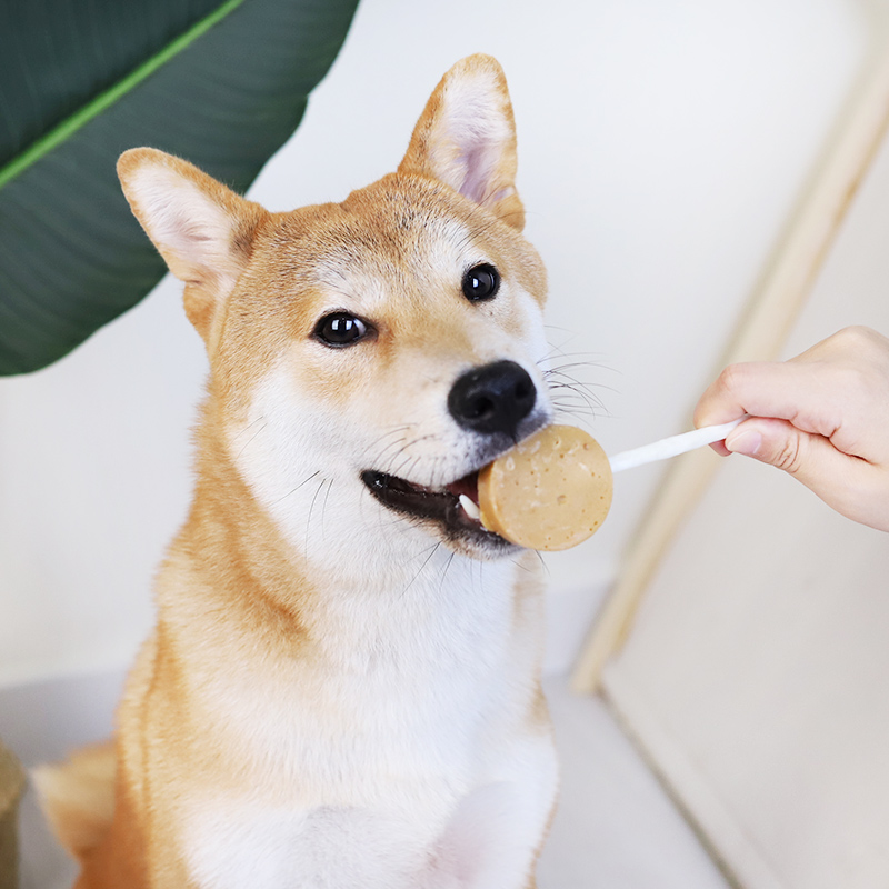 柒仔宠物 地狱厨房棒棒糖狗狗零食磨牙棒成犬幼犬耐咬训练奖励