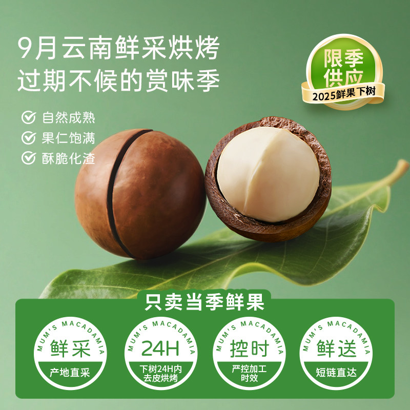 夏果妈妈有机夏威夷果500g原味无添加大颗粒夏威夷果孕妇健康坚果,淘宝优惠券,粉丝福利购,淘宝优惠卷