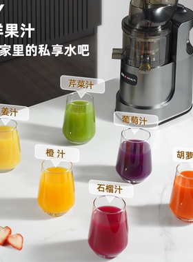 金正榨汁机汁渣分离商用大口径原
