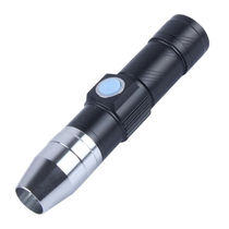 Flashlight fluorescent agent detection pen 365nm Purple Light Banknote lamp USB charging makeup mask Daily Necessities Poo