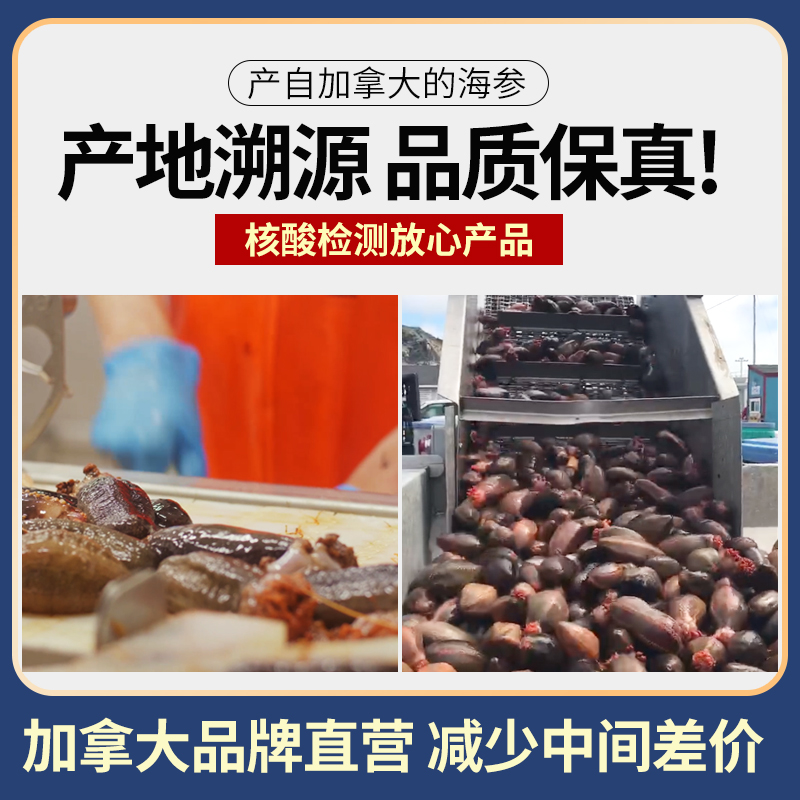 天猫国际进口超市加拿大原装OceanFeast海参干货非大连海参即食海参过年送礼2