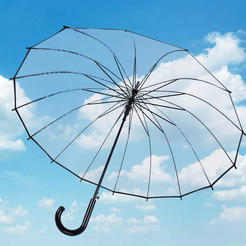 16骨透明雨伞长柄大号双人女白色网红雨伞自动结实加大折叠定制伞 - 图0