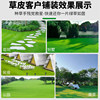 Obito real lawn carpet grass four seasons green lawn turf