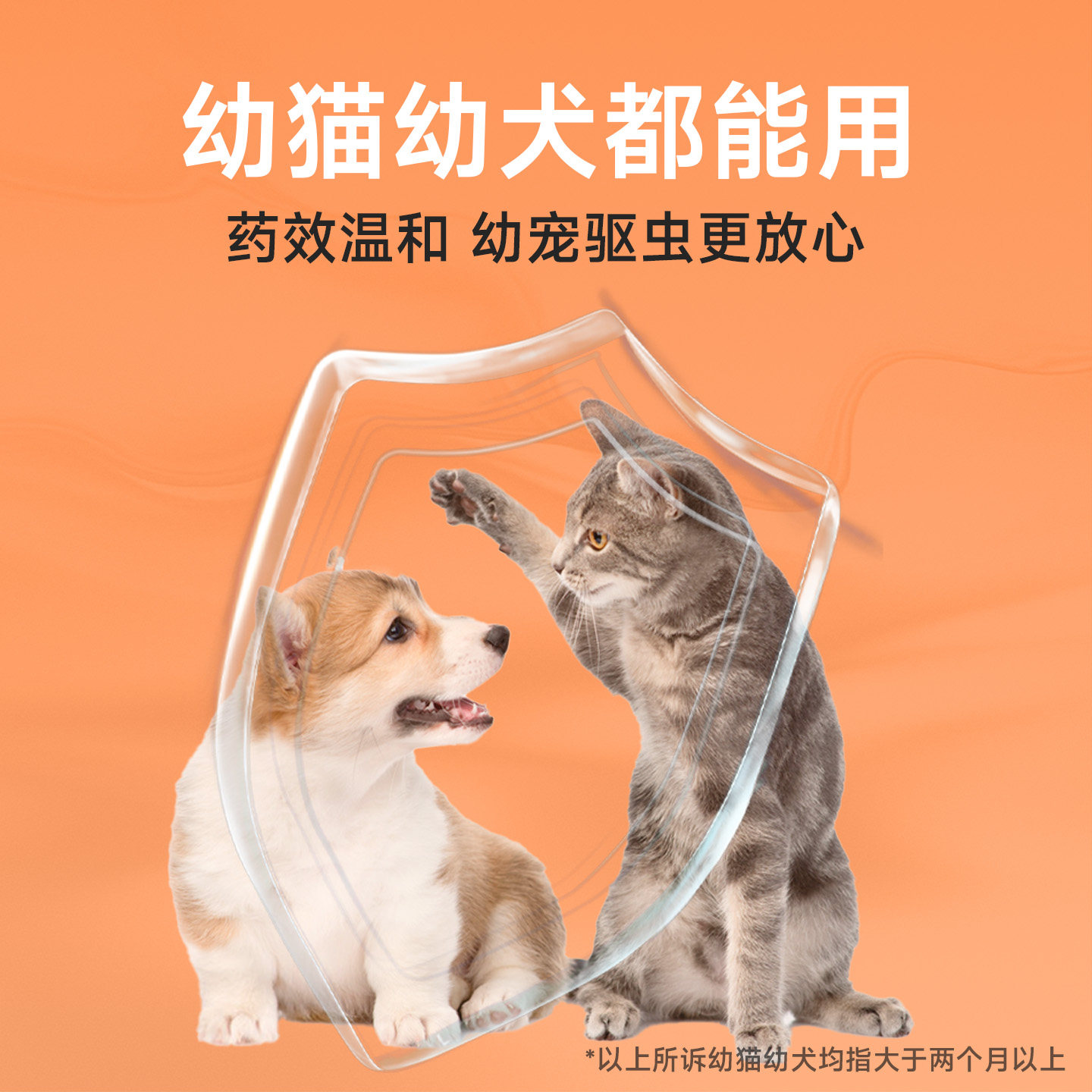 修正新关爱狗狗猫咪驱虫药体内外一体驱虫二合一幼猫小狗宠物专用,淘宝优惠券,粉丝福利购,淘宝优惠卷