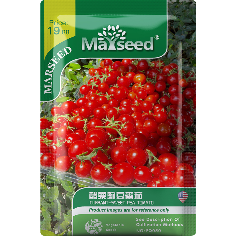 【MARSEED火星家】Currant Rush传家宝迷你小红醋栗番茄种子秧苗 - 图3