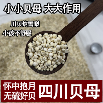 Authentic Quechuan Fritillaria 500g Zhengzoncheon Bpowder Dry Cargo Free Powder Non Wild Sichuan Bay Chinese Herbal Medicine Flagship Store