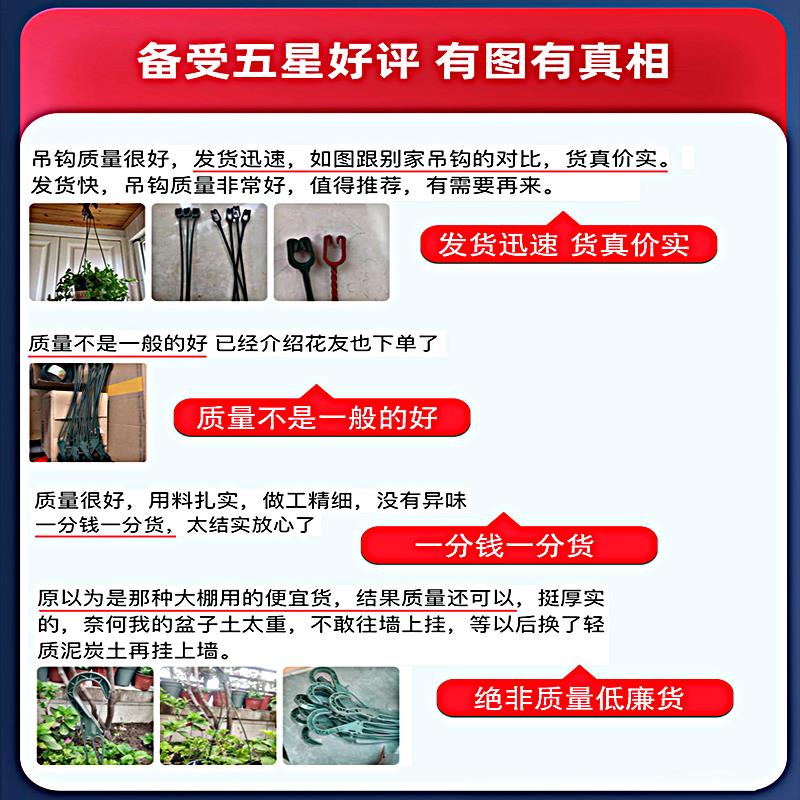 吊兰盆垂吊盆挂钩塑料绿萝兰花挂壁悬挂式吊篮自吸水加仑花盆吊钩 - 图0