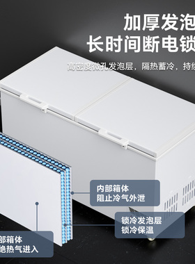 荣事达冰柜商用冷冻大容量冰箱家用冷藏保鲜卧式两用双温展示冷柜