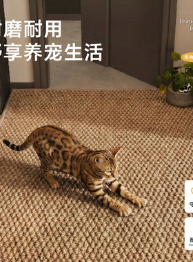 仿剑麻地垫入户门垫高级感防滑耐脏玄关地毯进门口除尘脚垫子可裁
