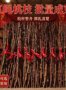 东南桃木桃花枝镇宅护身挂件